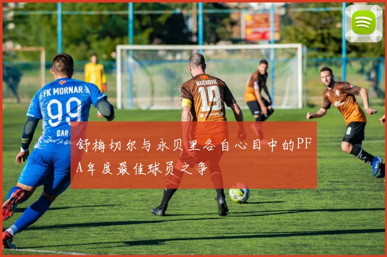 舒梅切尔与永贝里各自心目中的PFA年度最佳球员之争